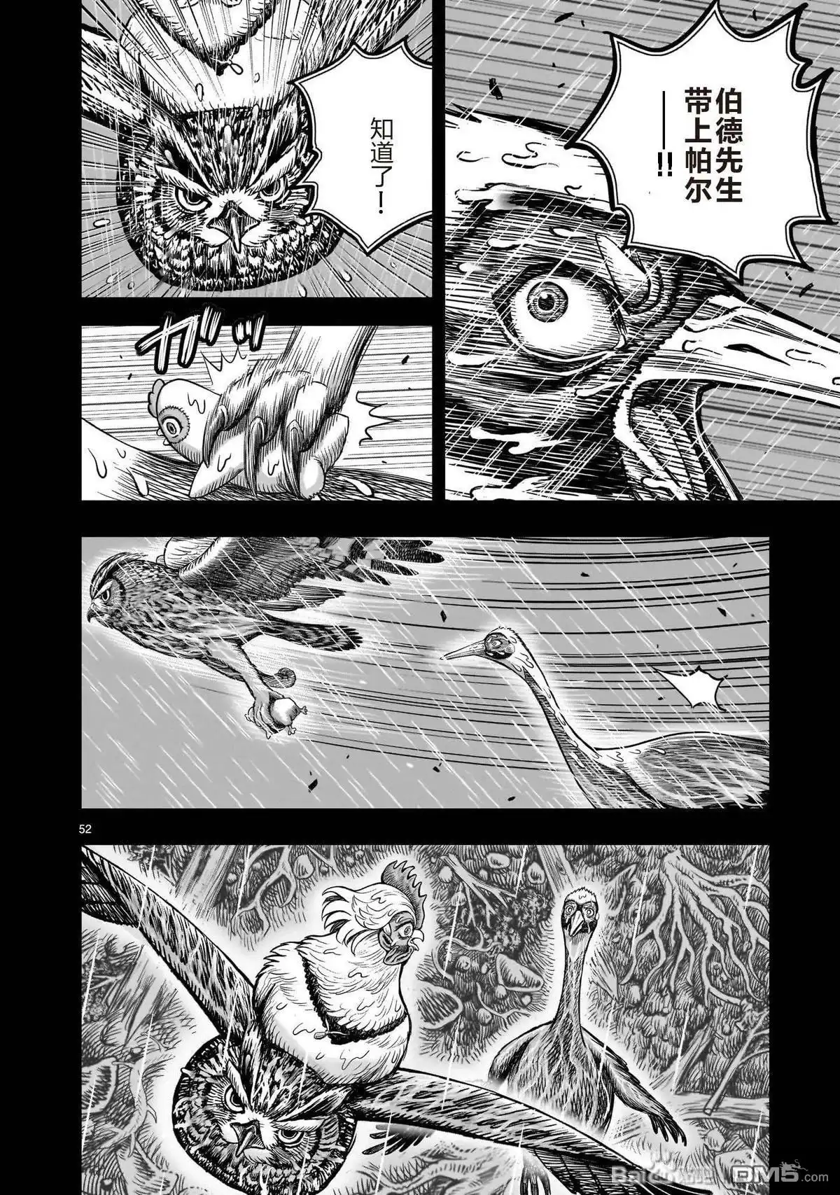 第52页