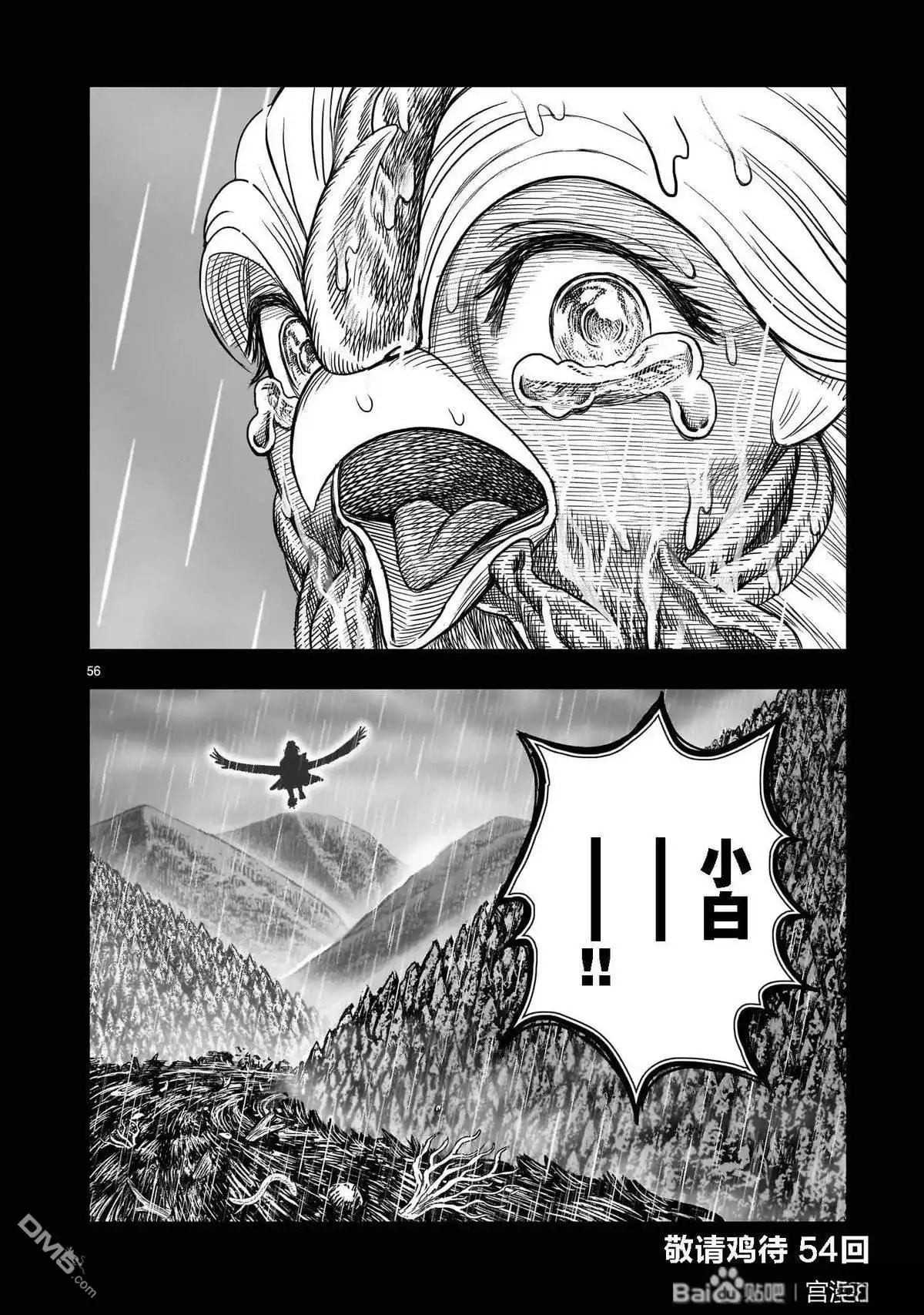 第56页
