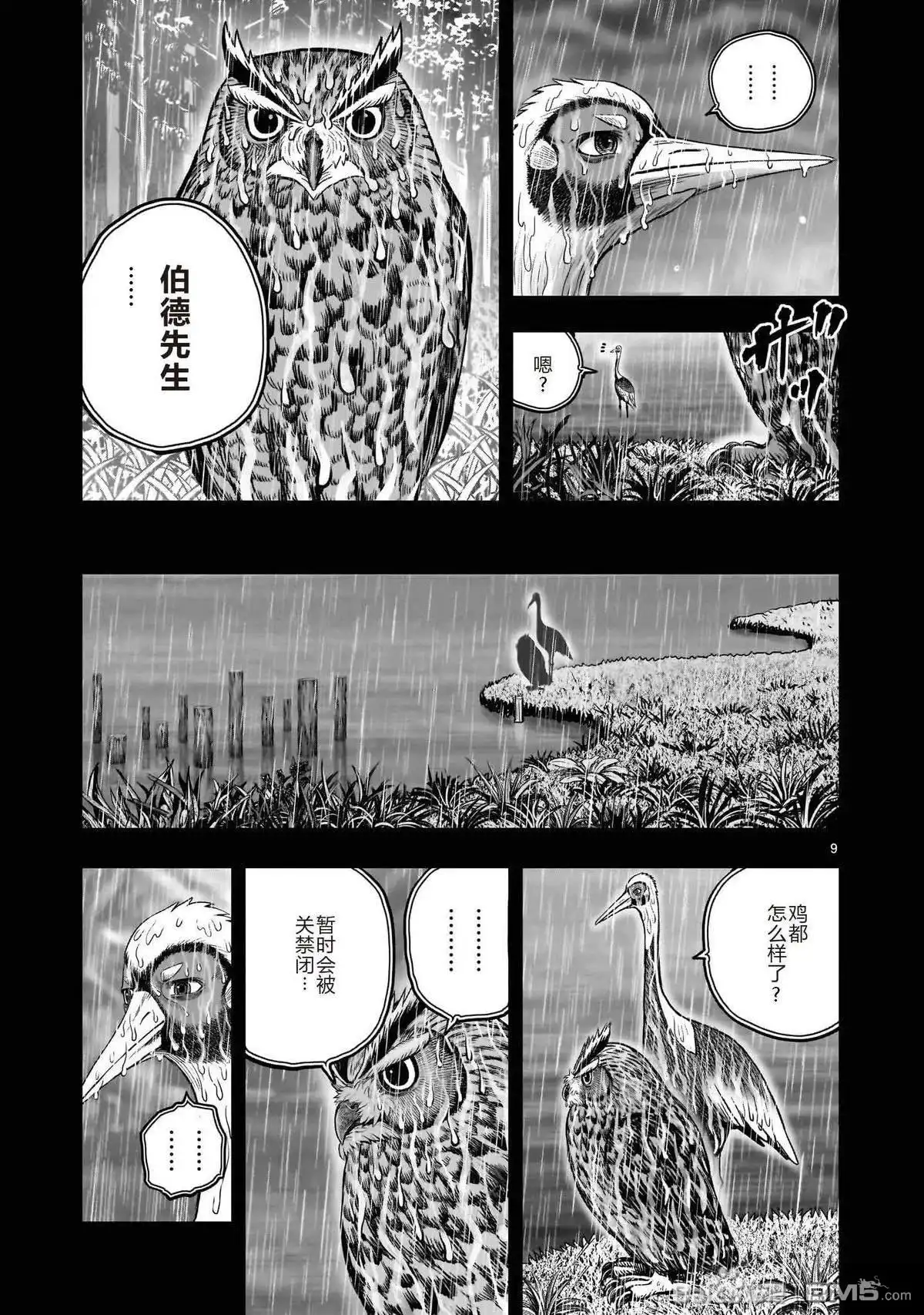 第9页