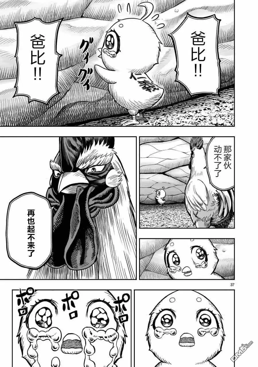 第37页