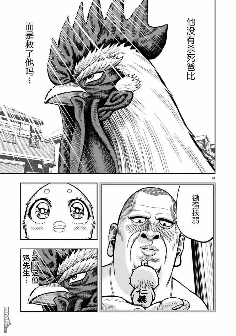 第41页