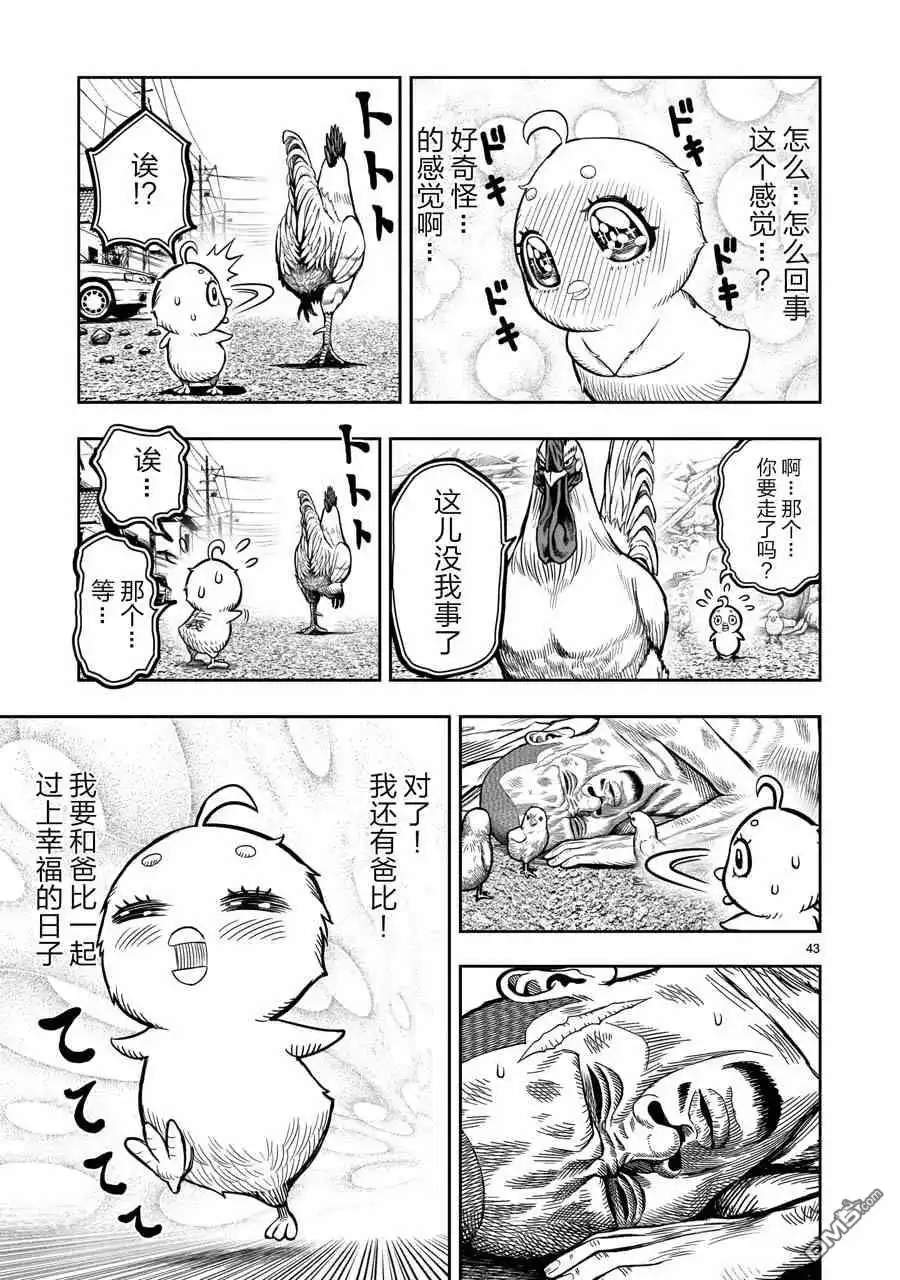第43页