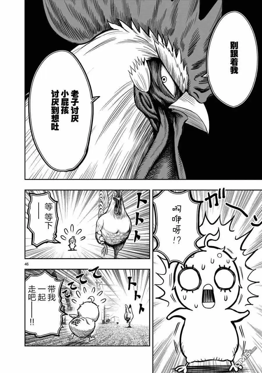 第46页
