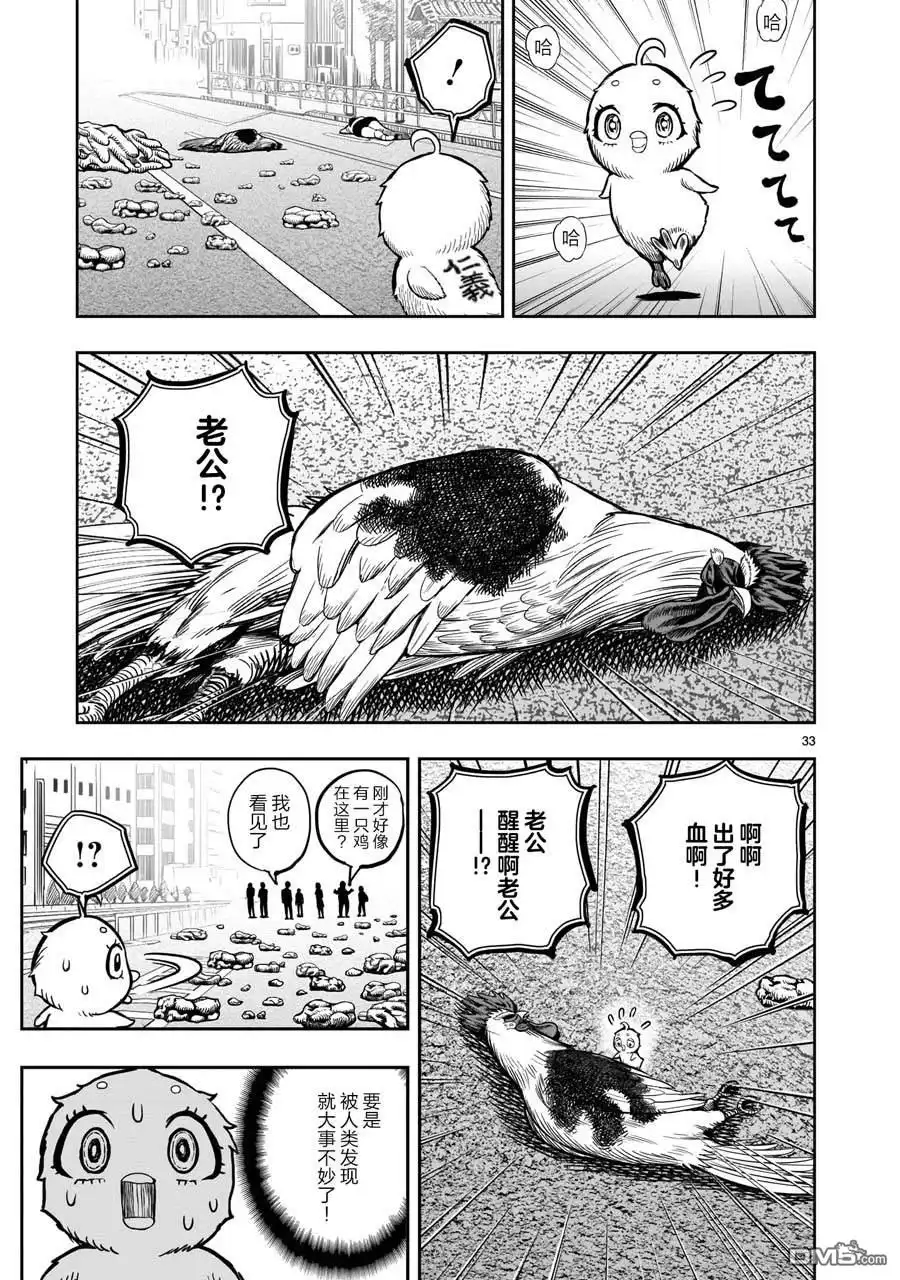 第33页