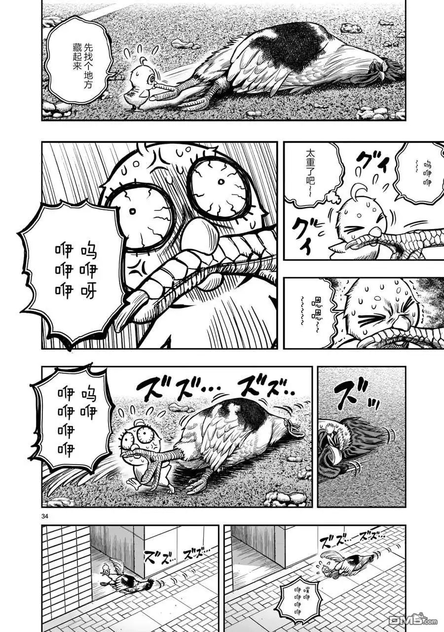 第34页