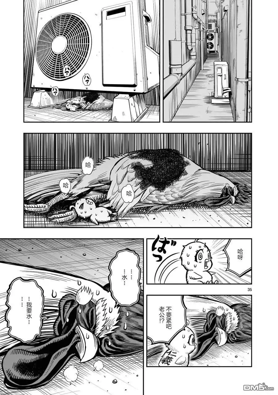 第35页