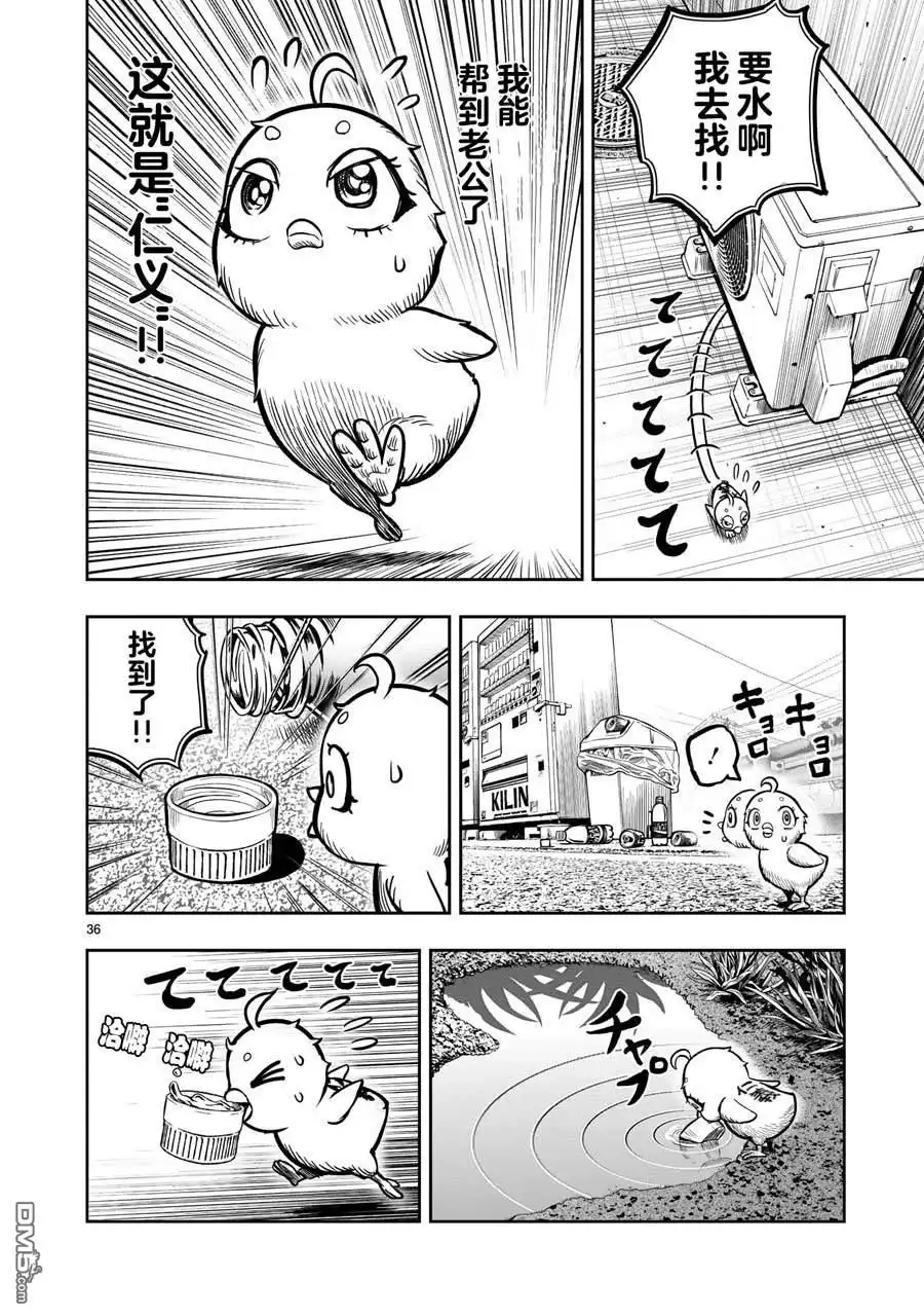 第36页