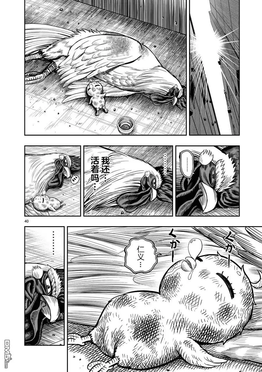 第40页