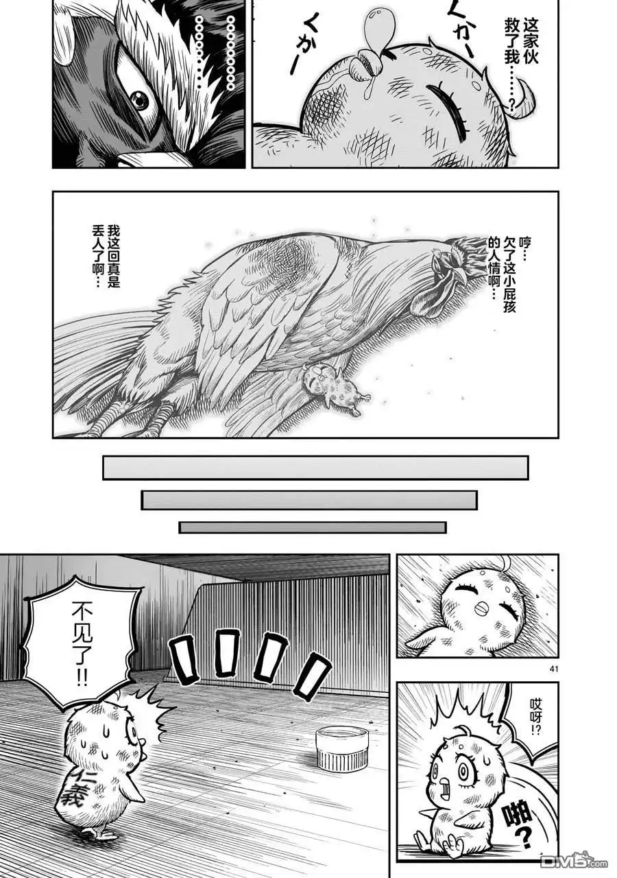 第41页