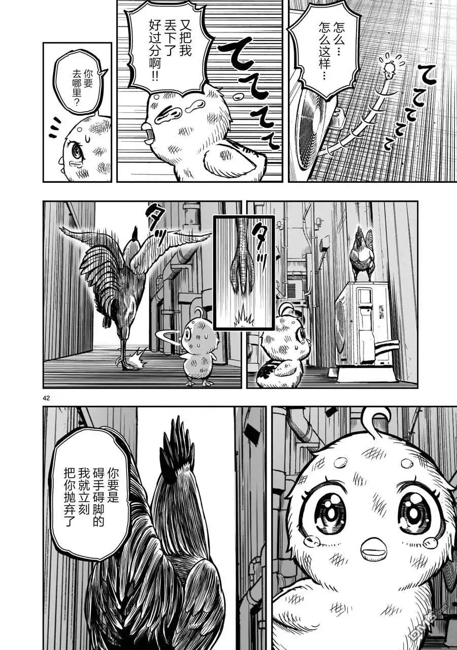 第42页