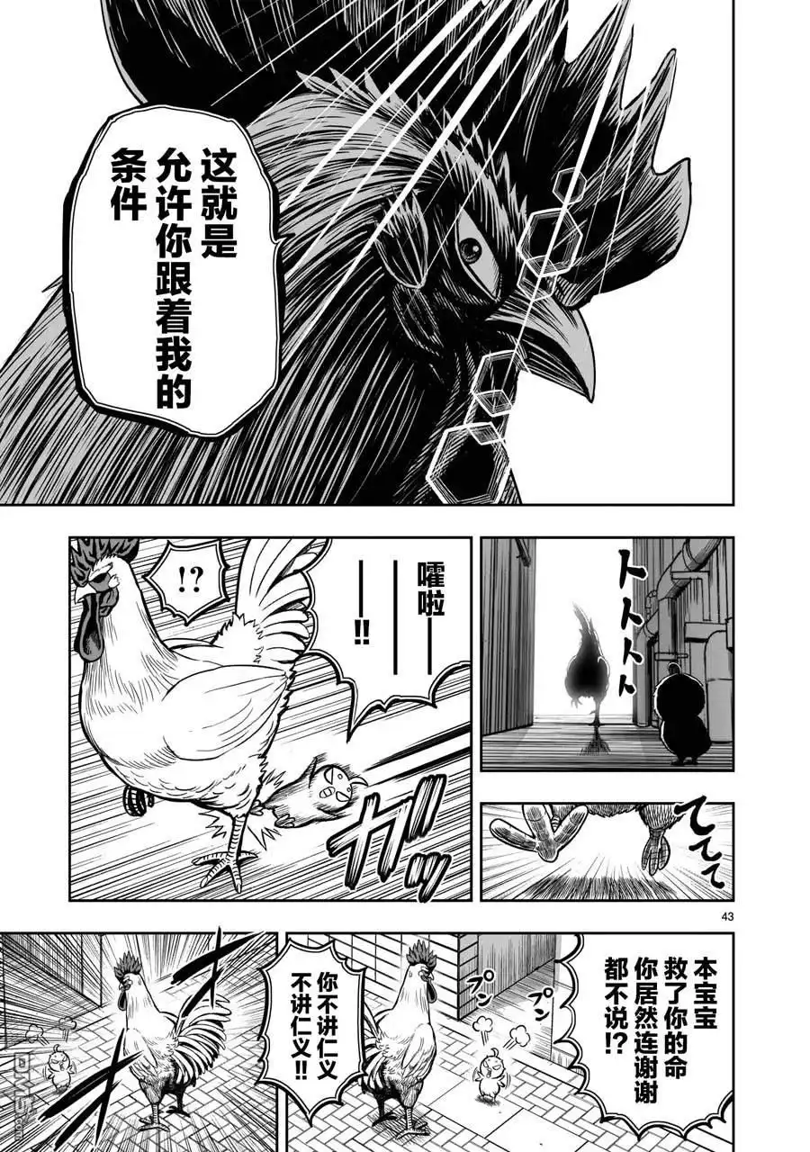 第43页