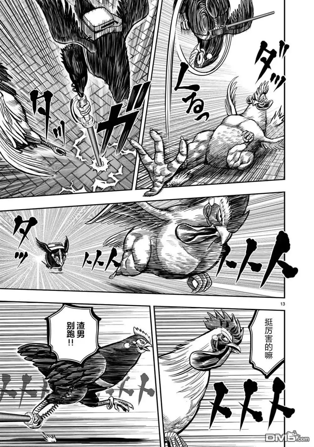 第13页