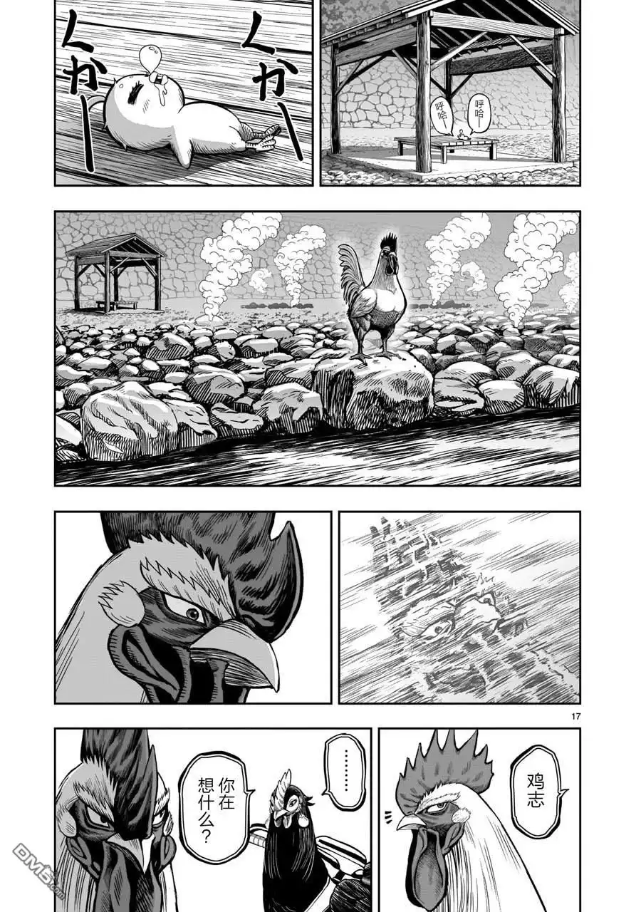 第17页