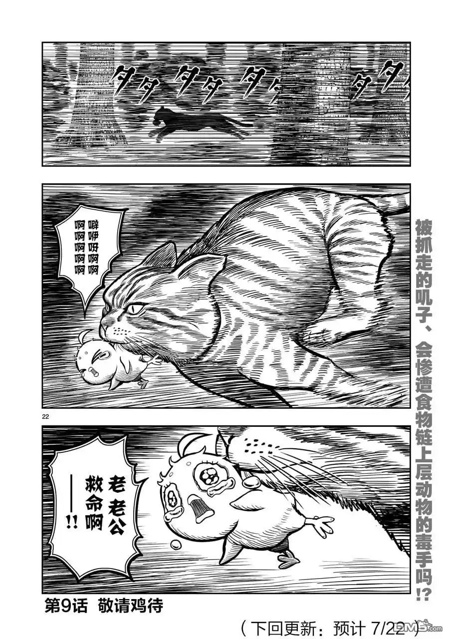 第22页