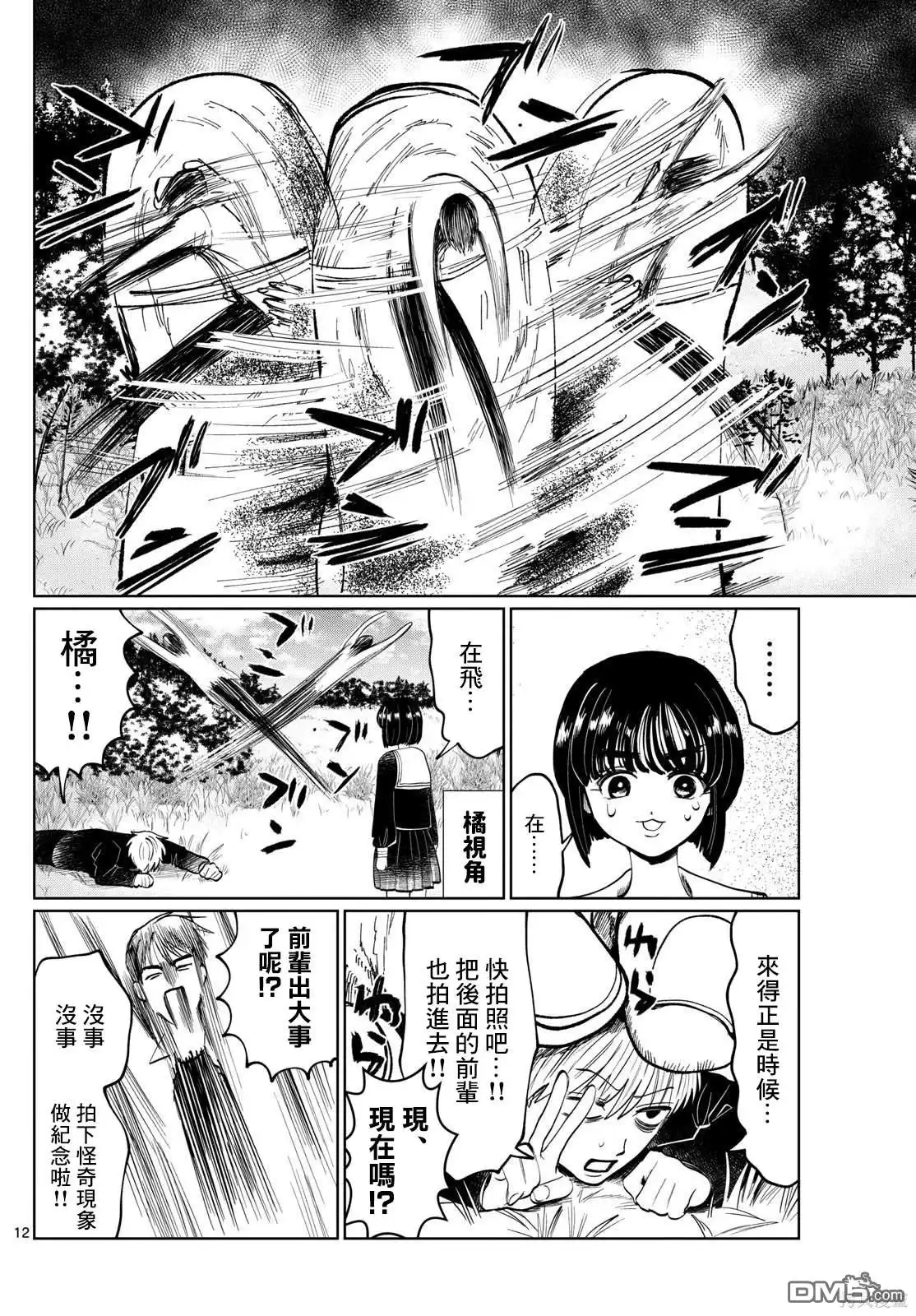 第12页