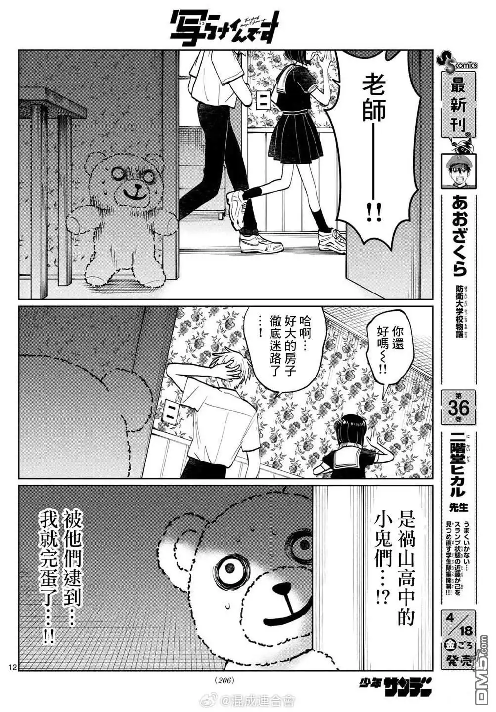 第12页