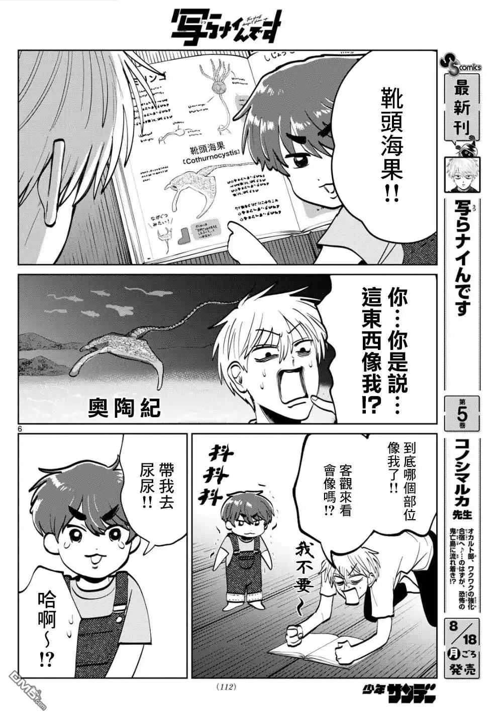 第6页