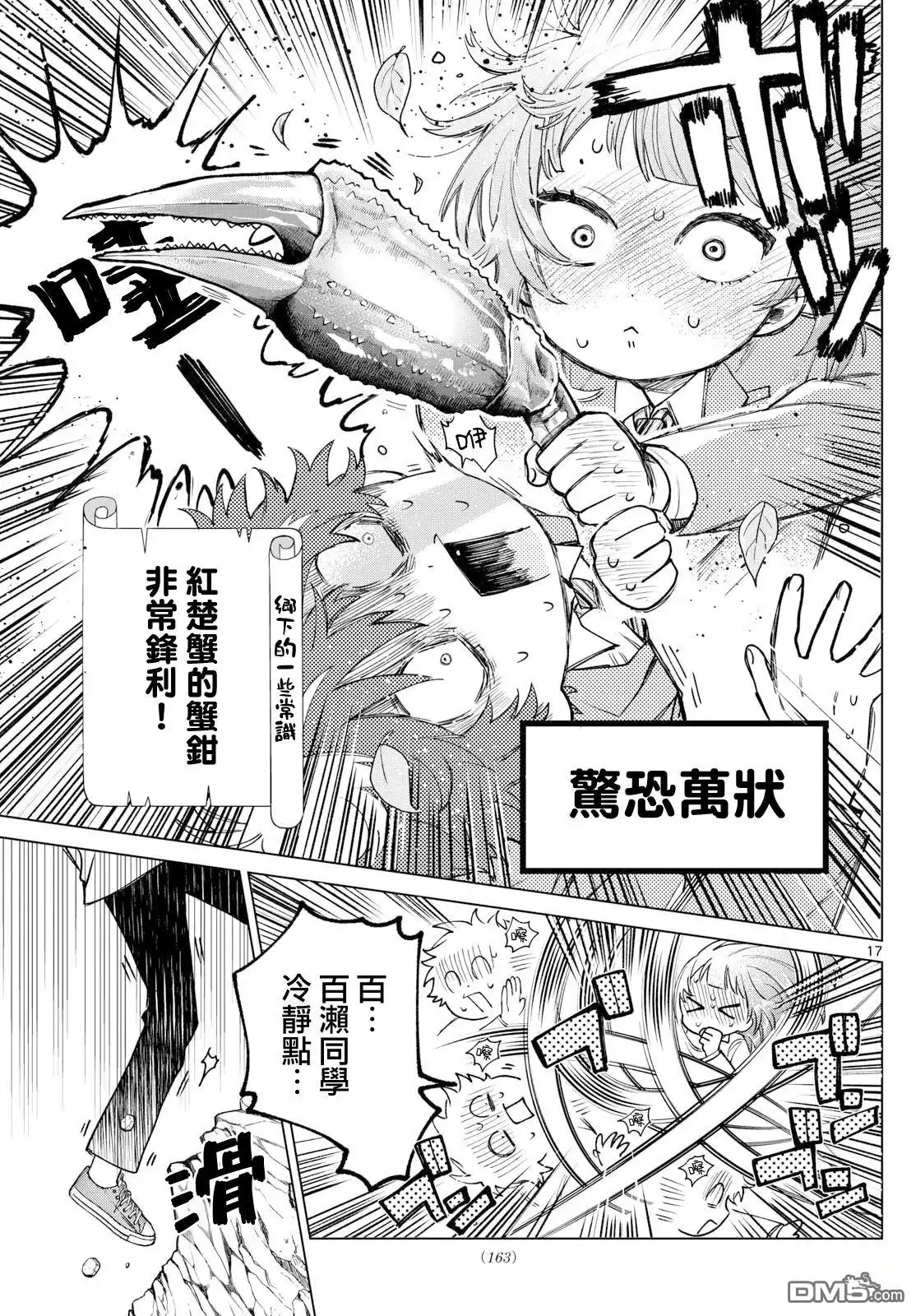 第17页