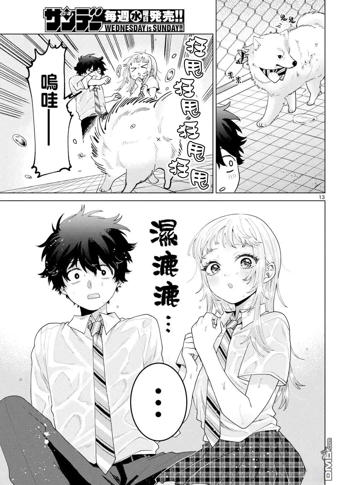 第13页