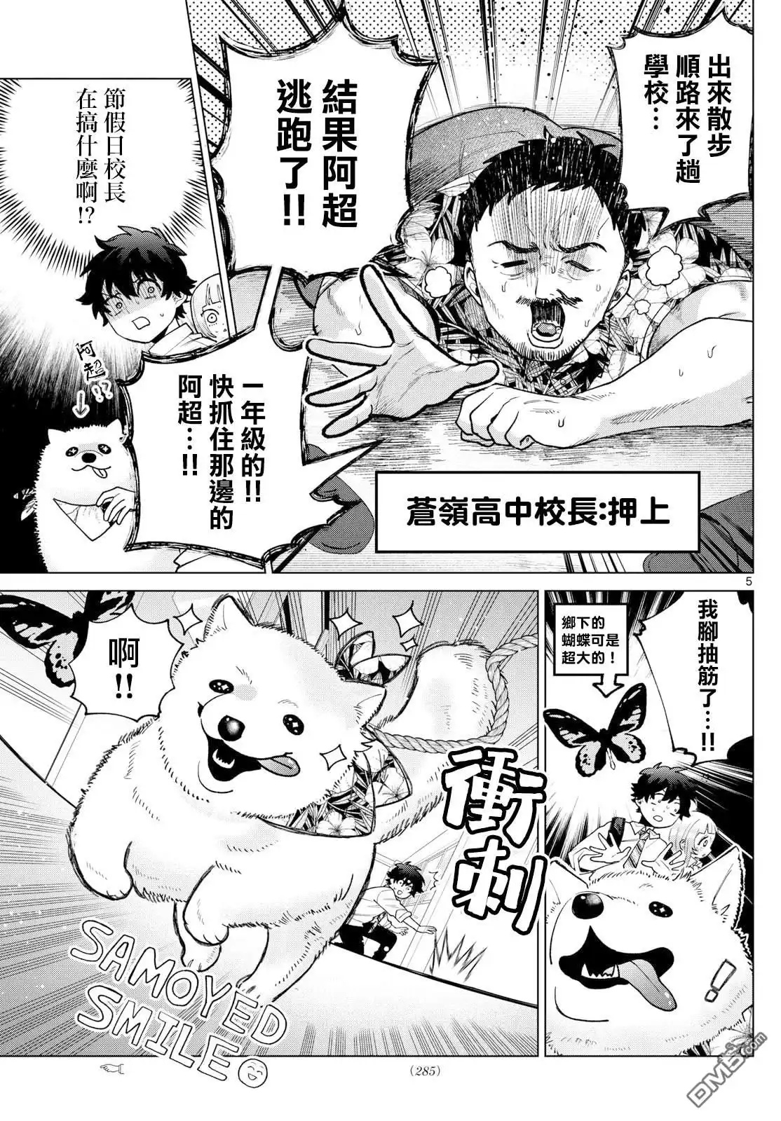 第5页