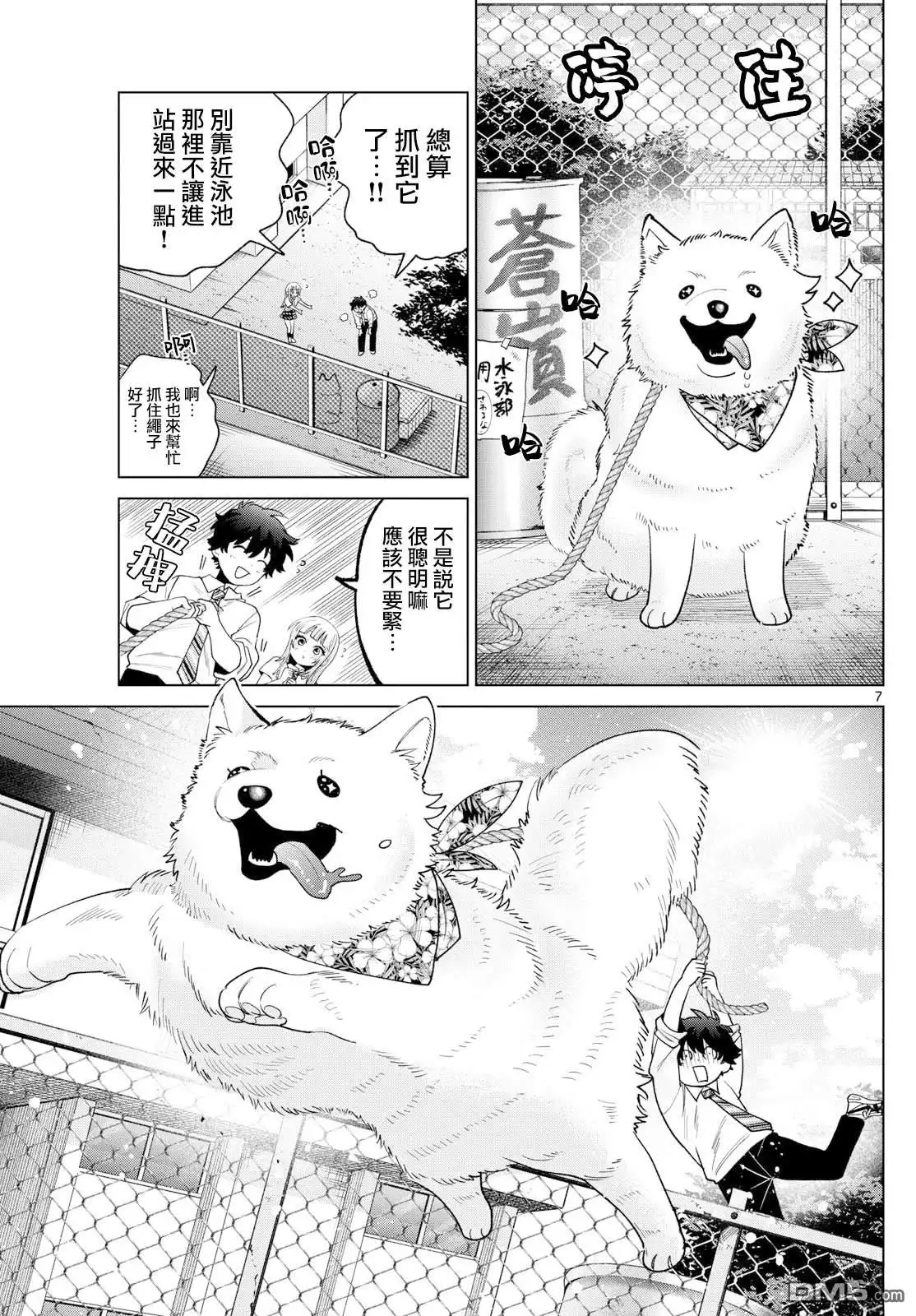 第7页