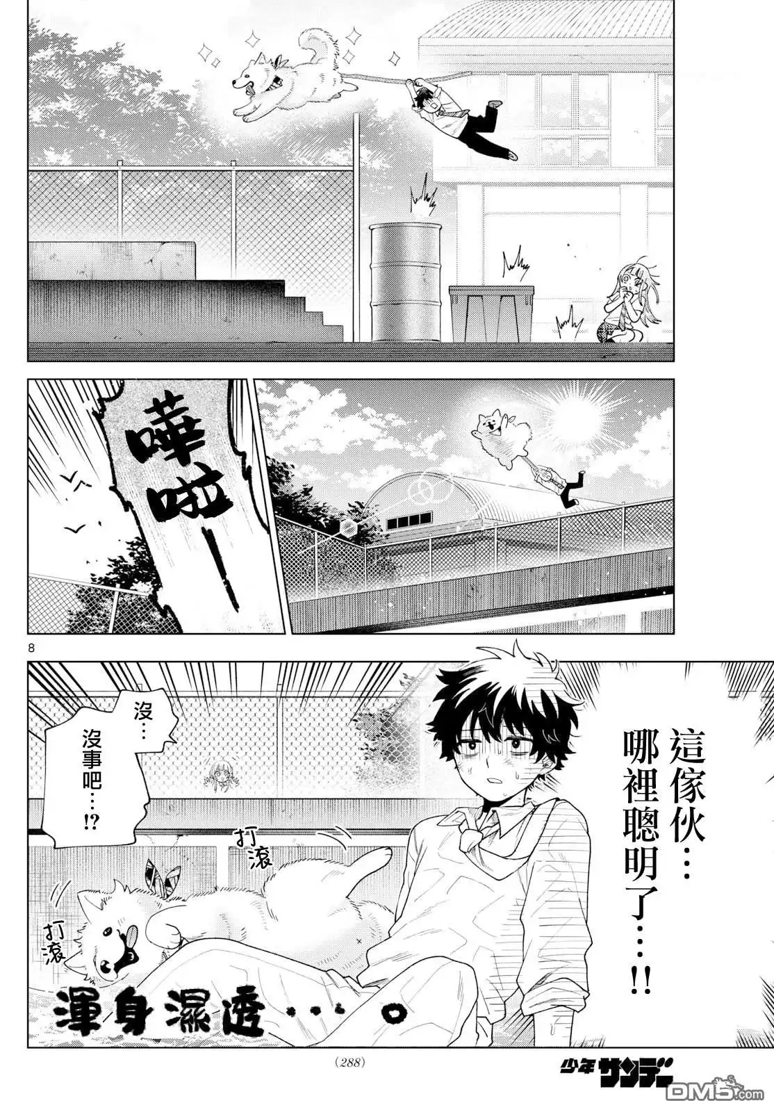 第8页