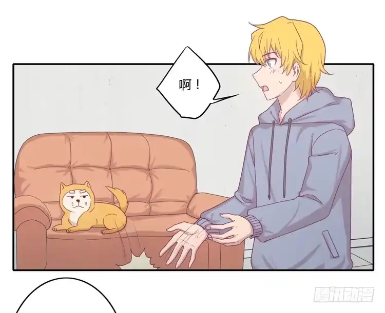 第43页