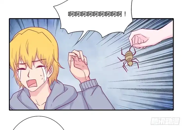 第55页