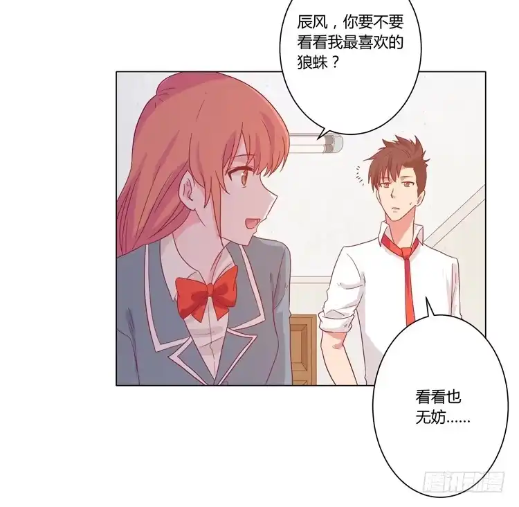 第40页