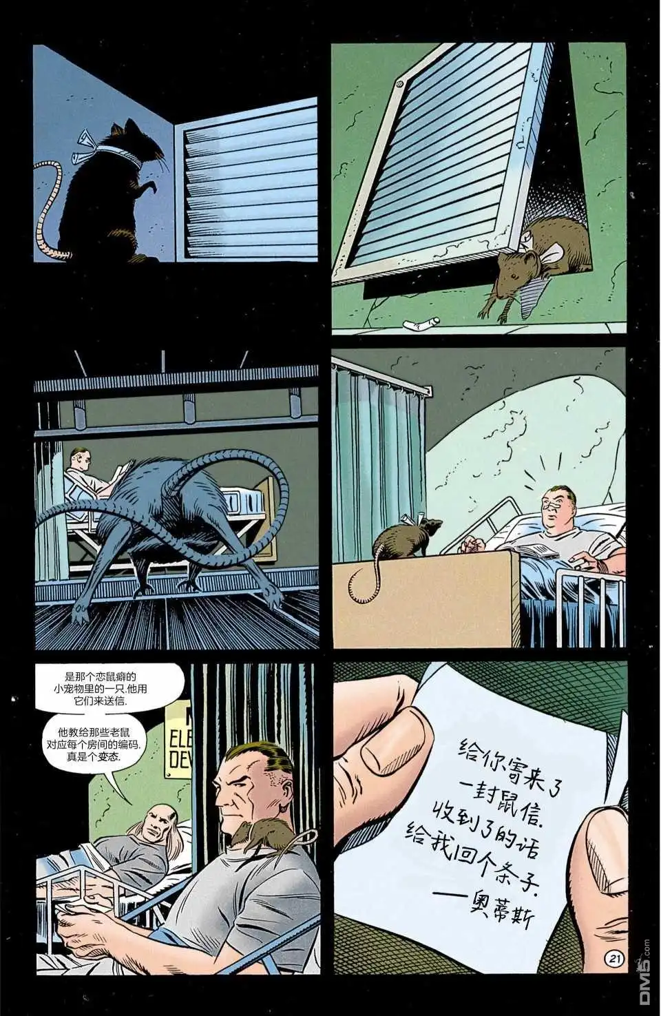 第21页