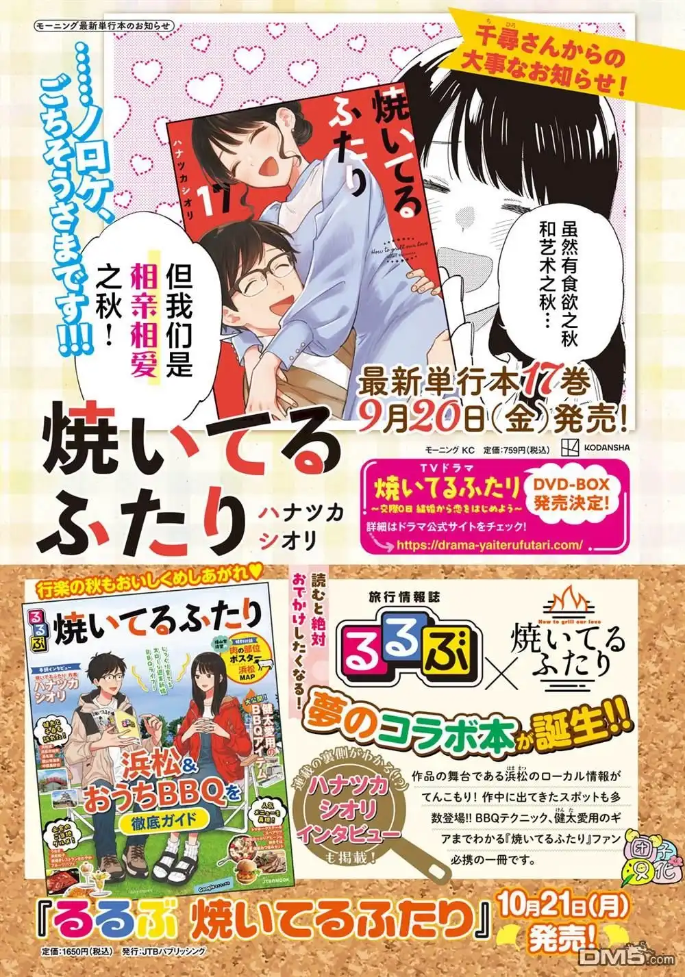 第17页