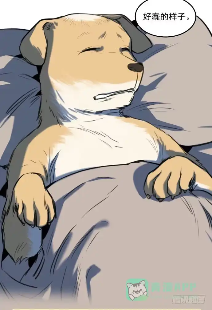 第46页