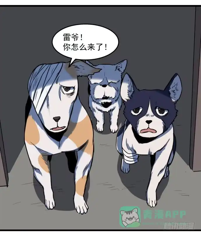 第41页