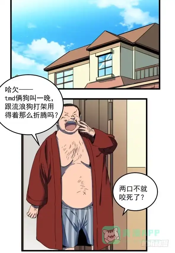 第41页