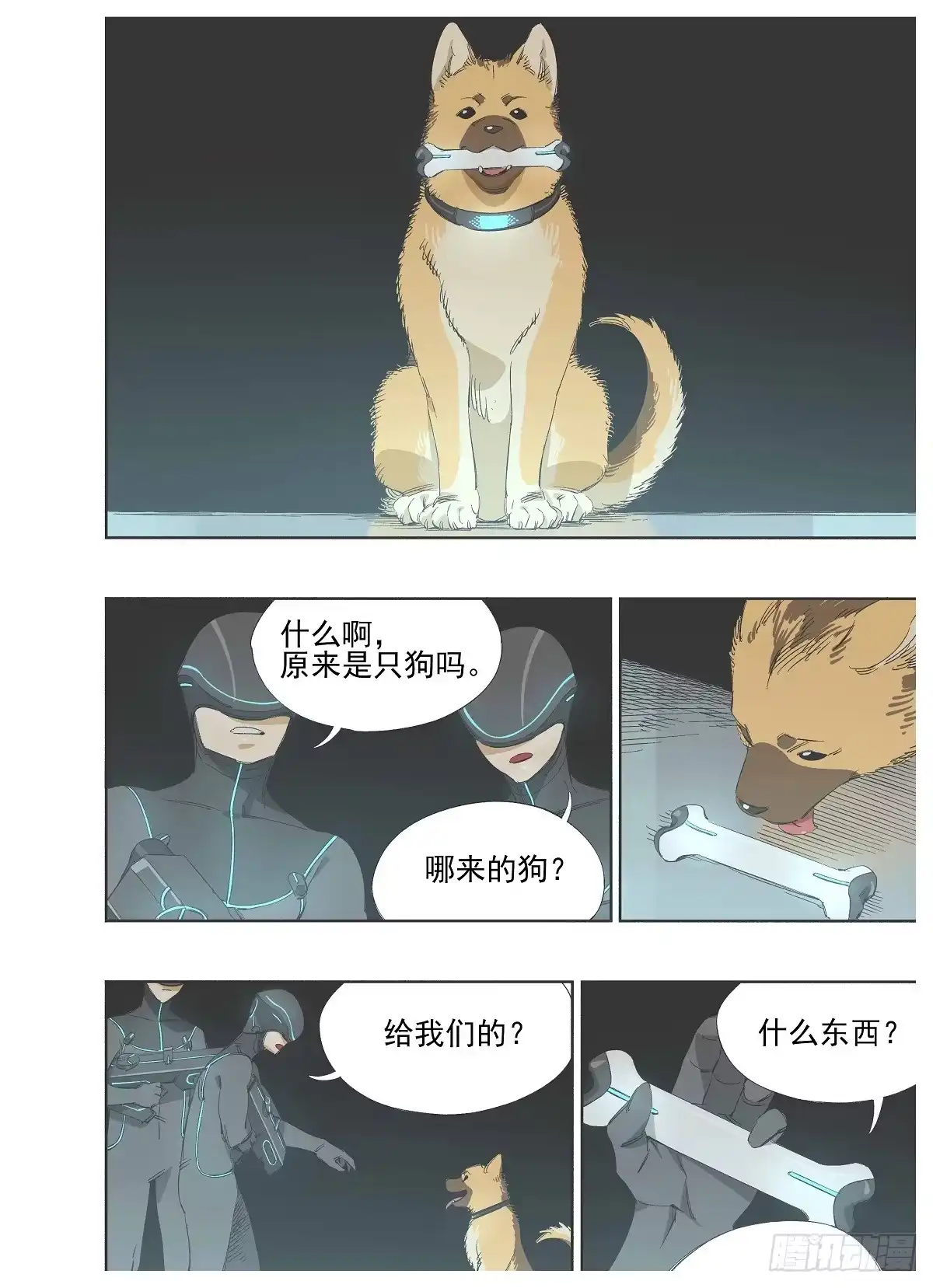 第17页