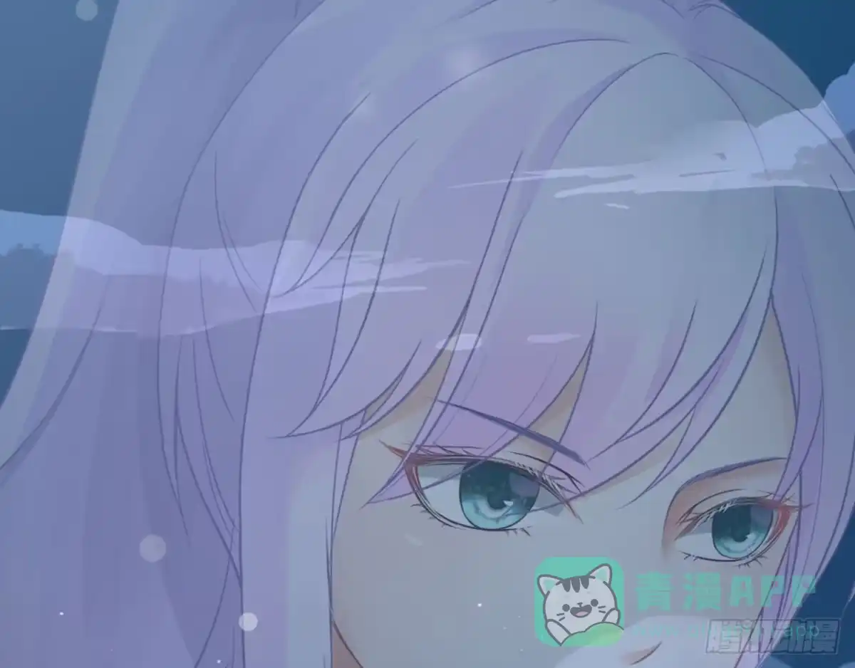 第291页