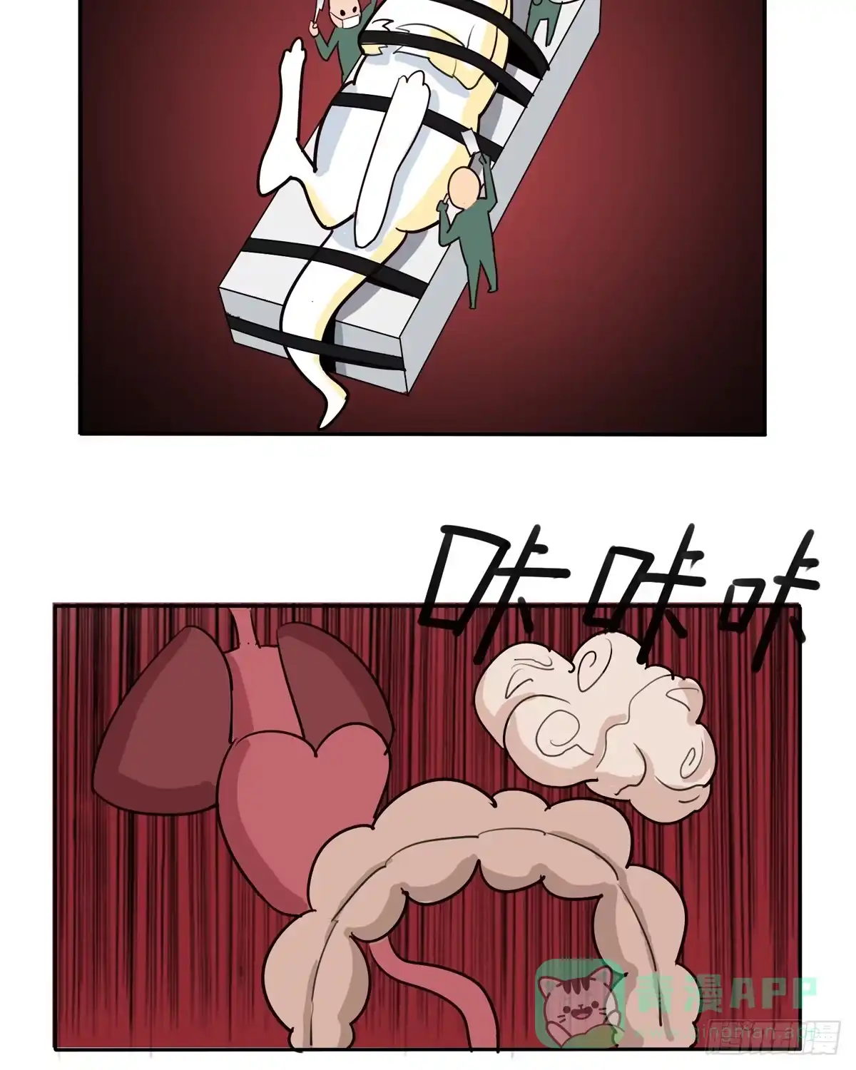 第46页