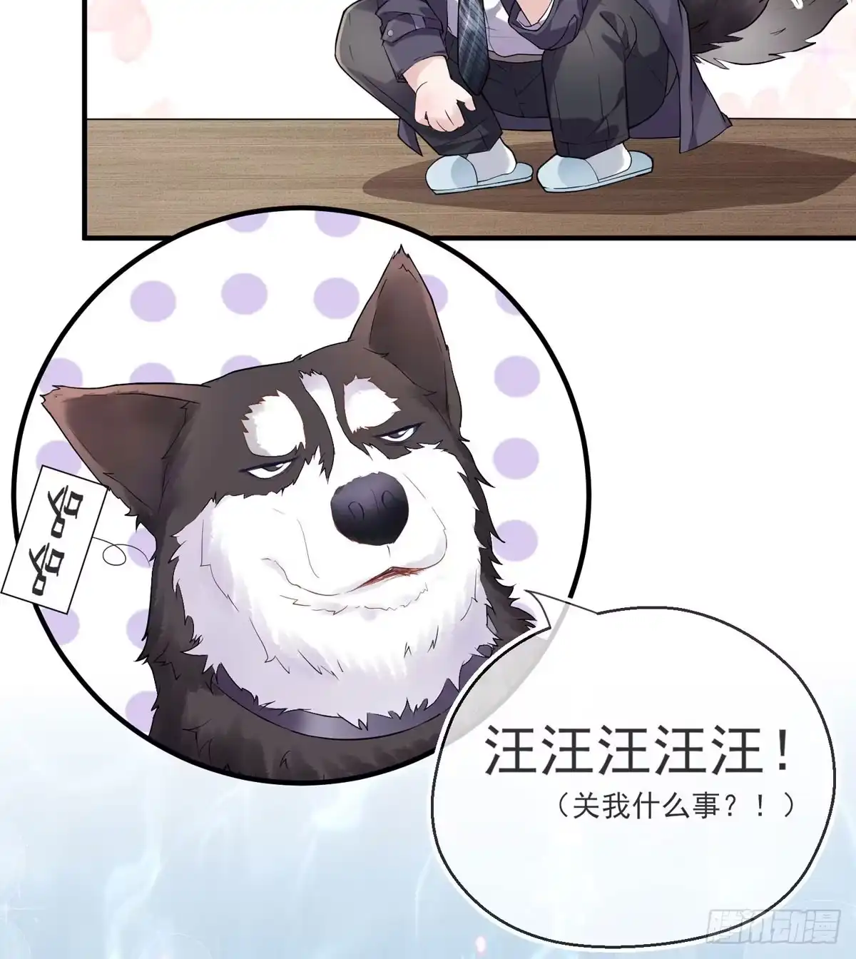 第47页