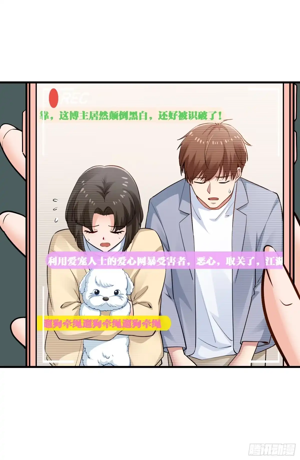 第43页