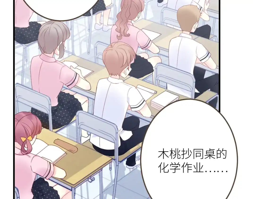 第204页