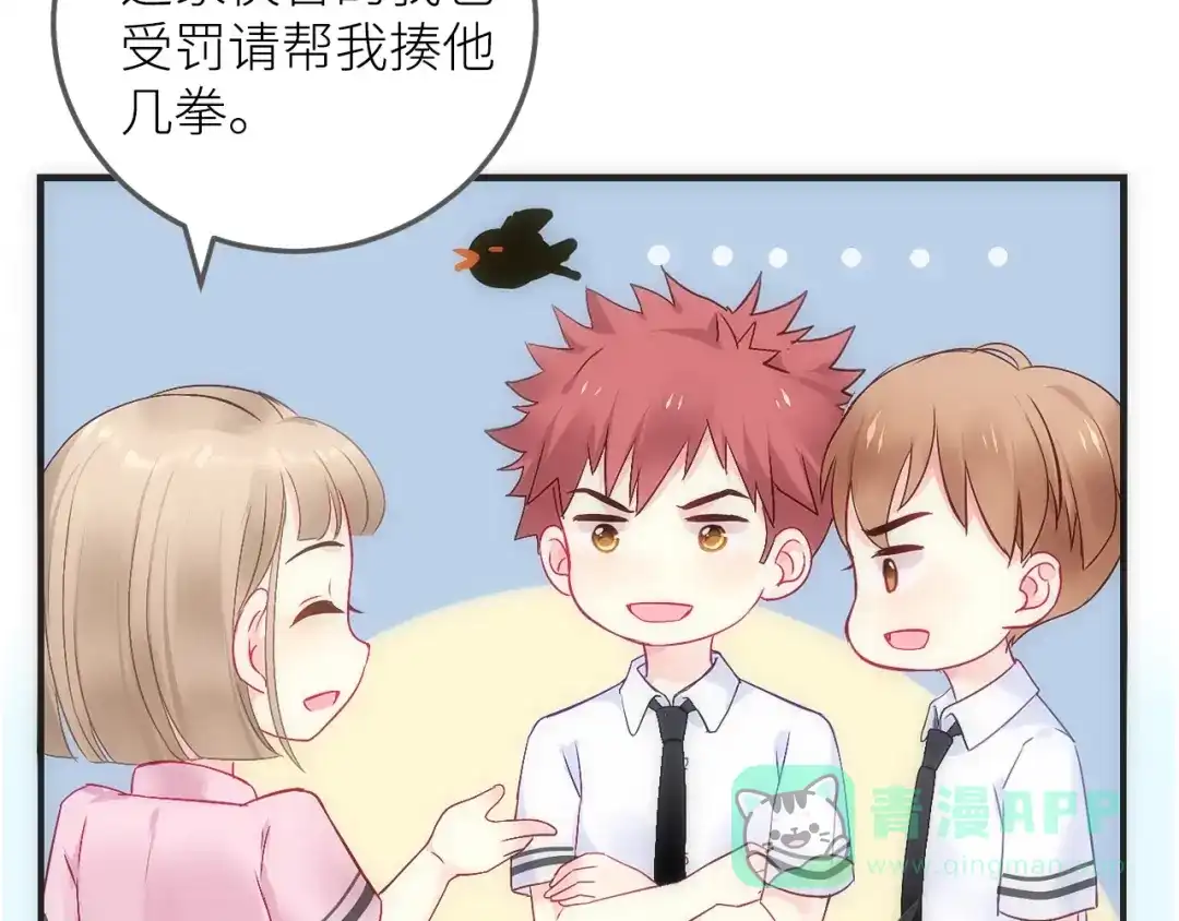第231页