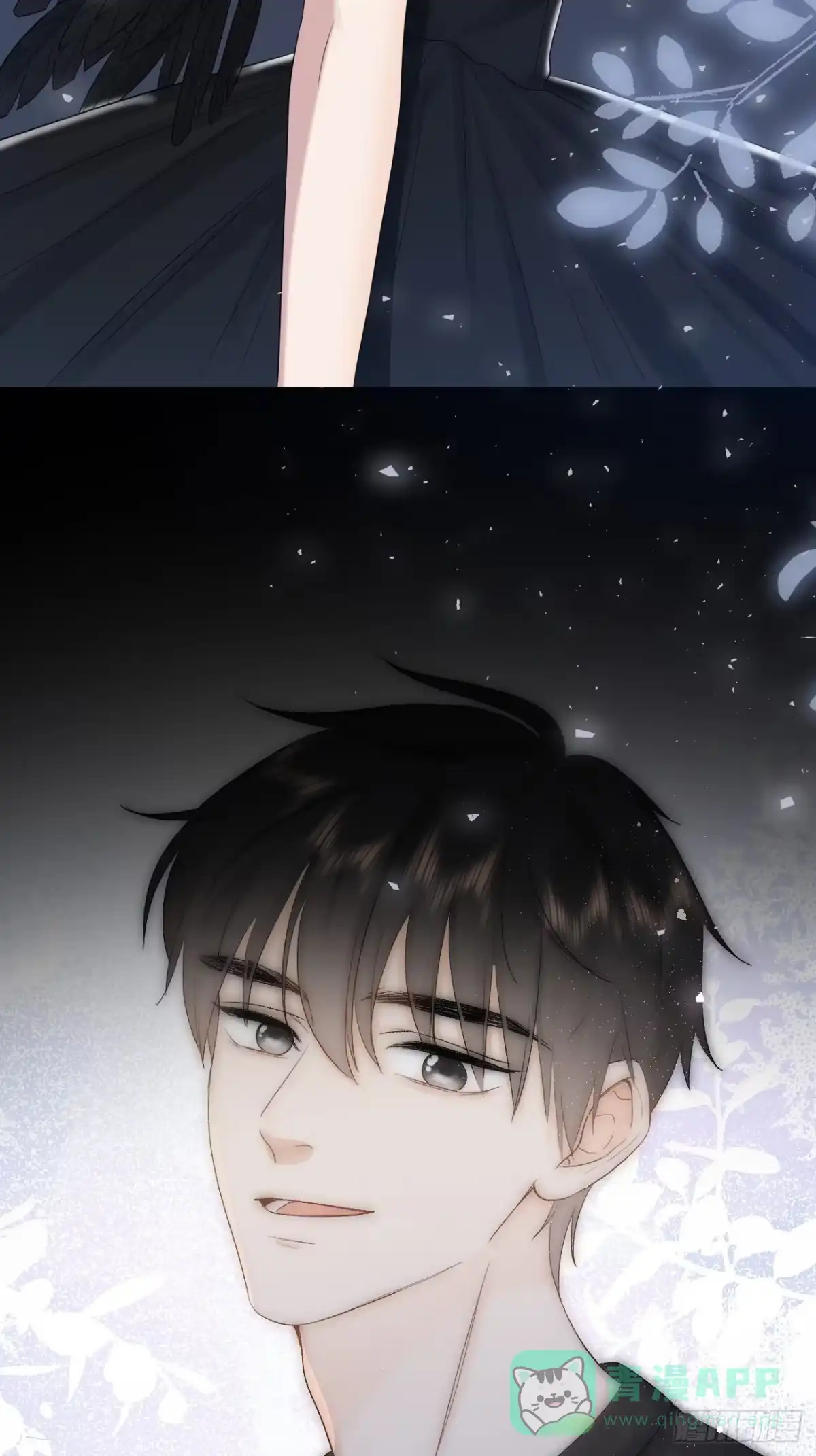 第61页