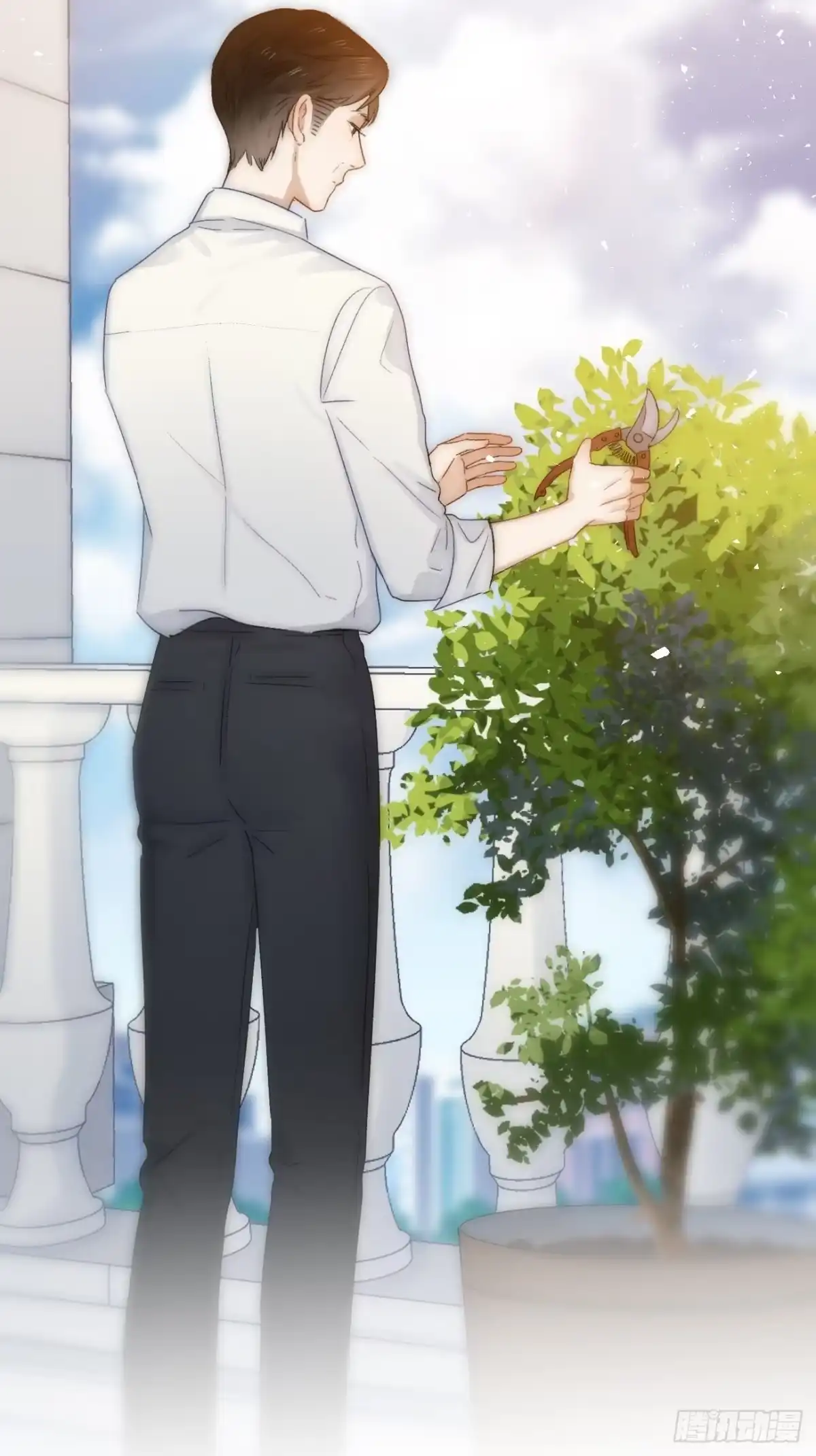 第113页