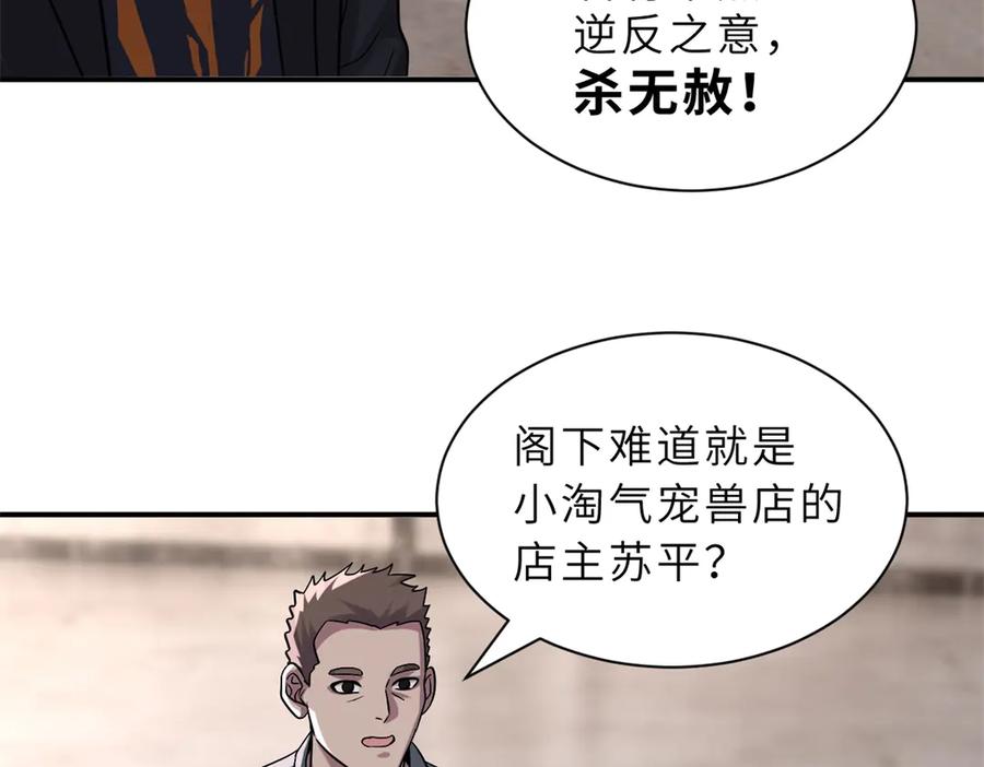 第223页