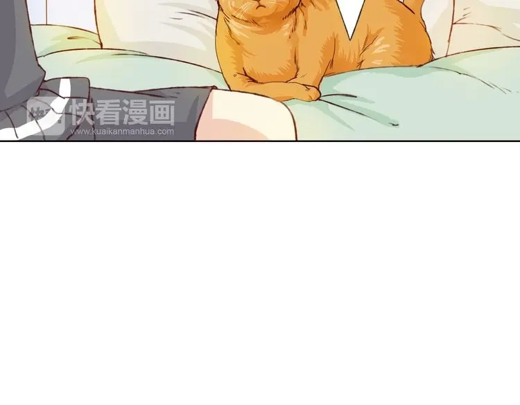 第208页