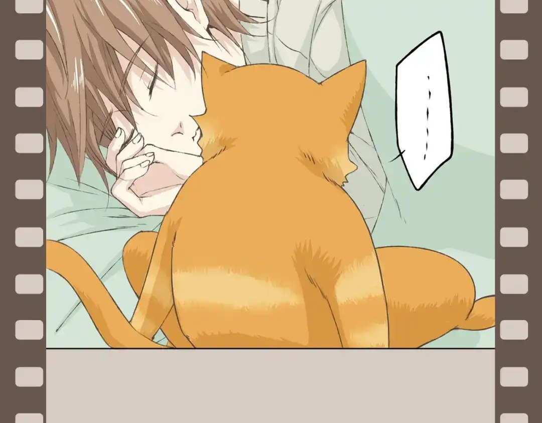 第144页