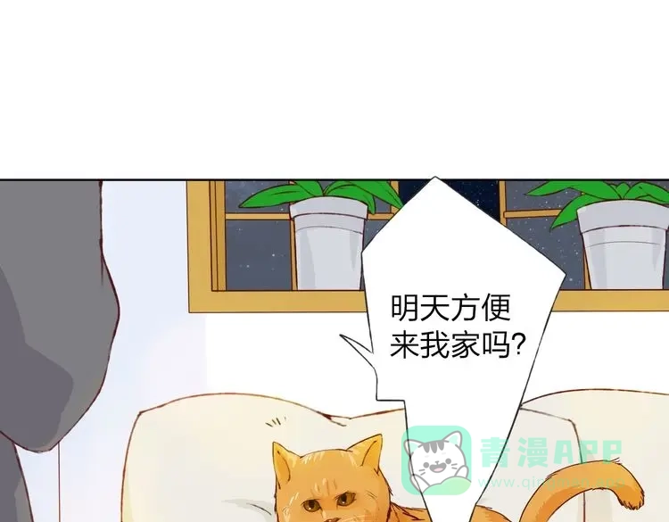 第206页