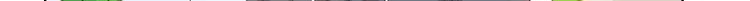第243页