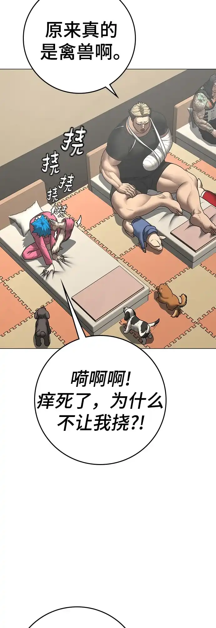 第47页