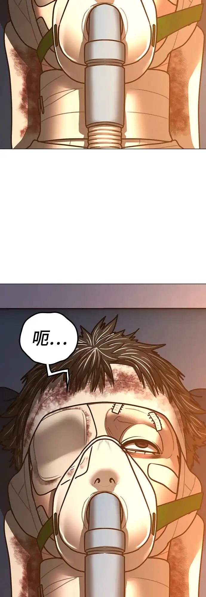 第286页